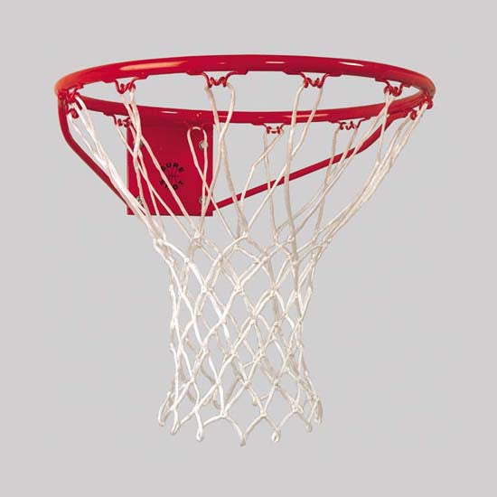 Institutional Ring And Net