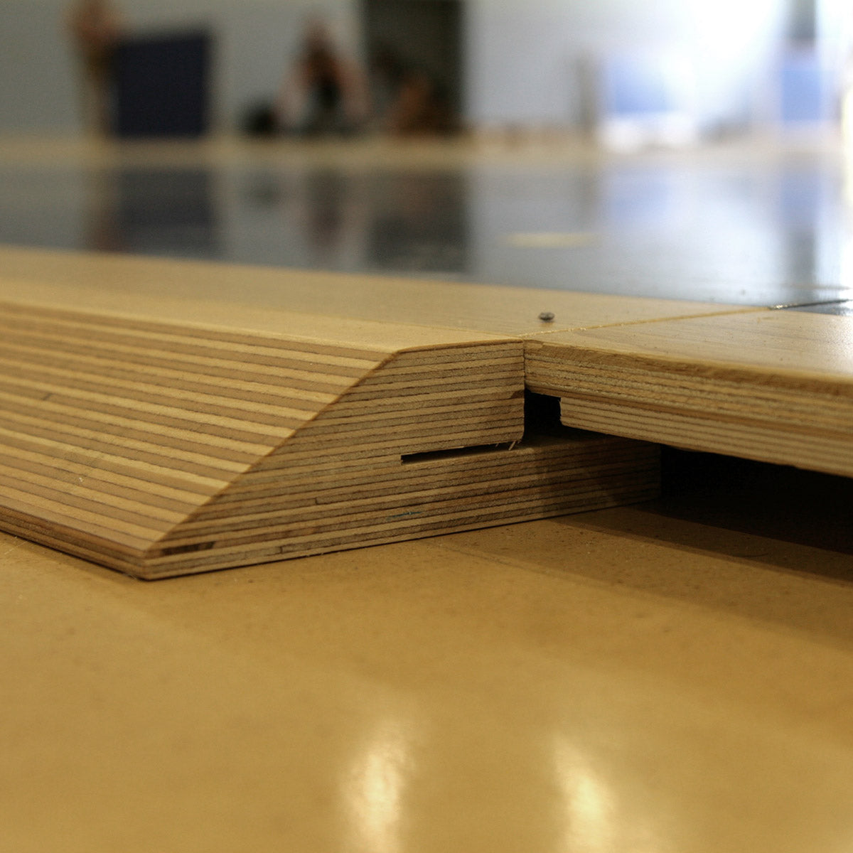 Haro Netball Floor