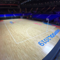Picture of Dynamik Haro Rome 20 Sprung Netball Floor