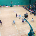 Picture of Roll-out Wood Effect Basketball Floor